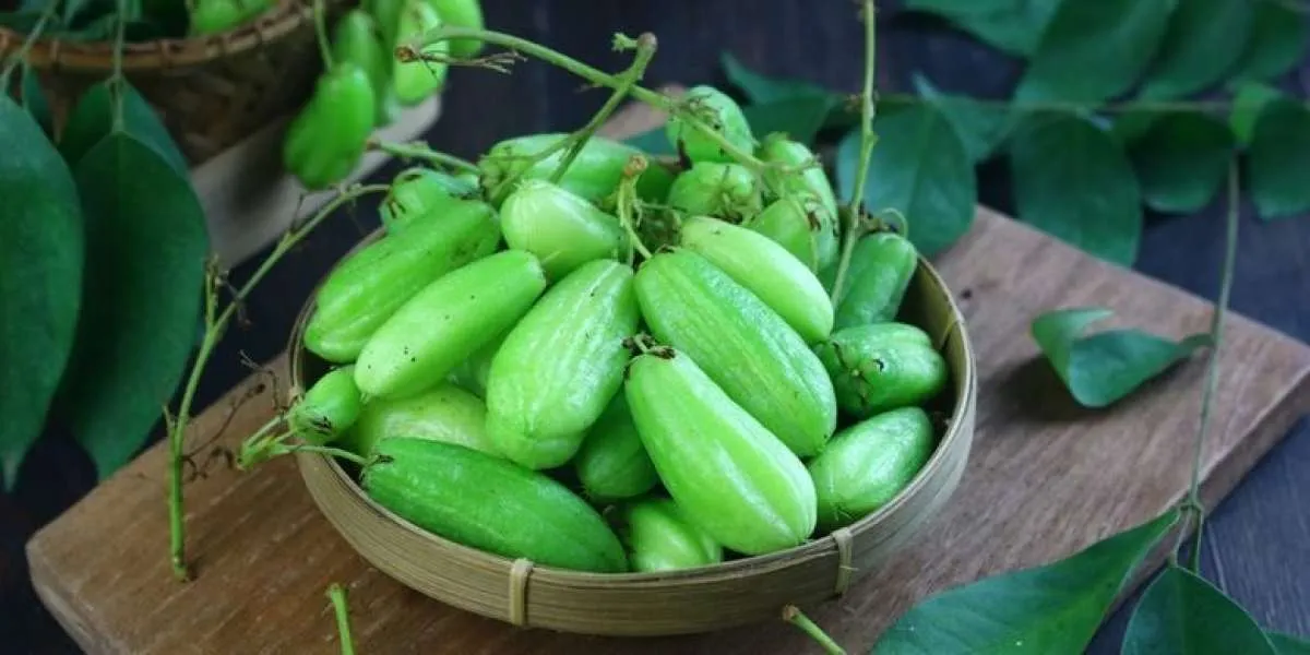 Menurunkan Gula Darah Tinggi, Ini Manfaat Belimbing Wuluh 