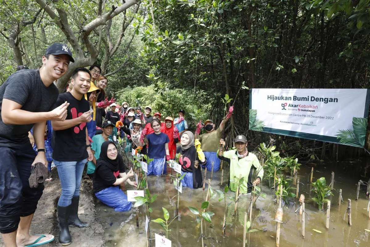 Dukung Pelestarian Lingkungan, Bukalapak Tanam 1000 Bibit Pohon Mangrove