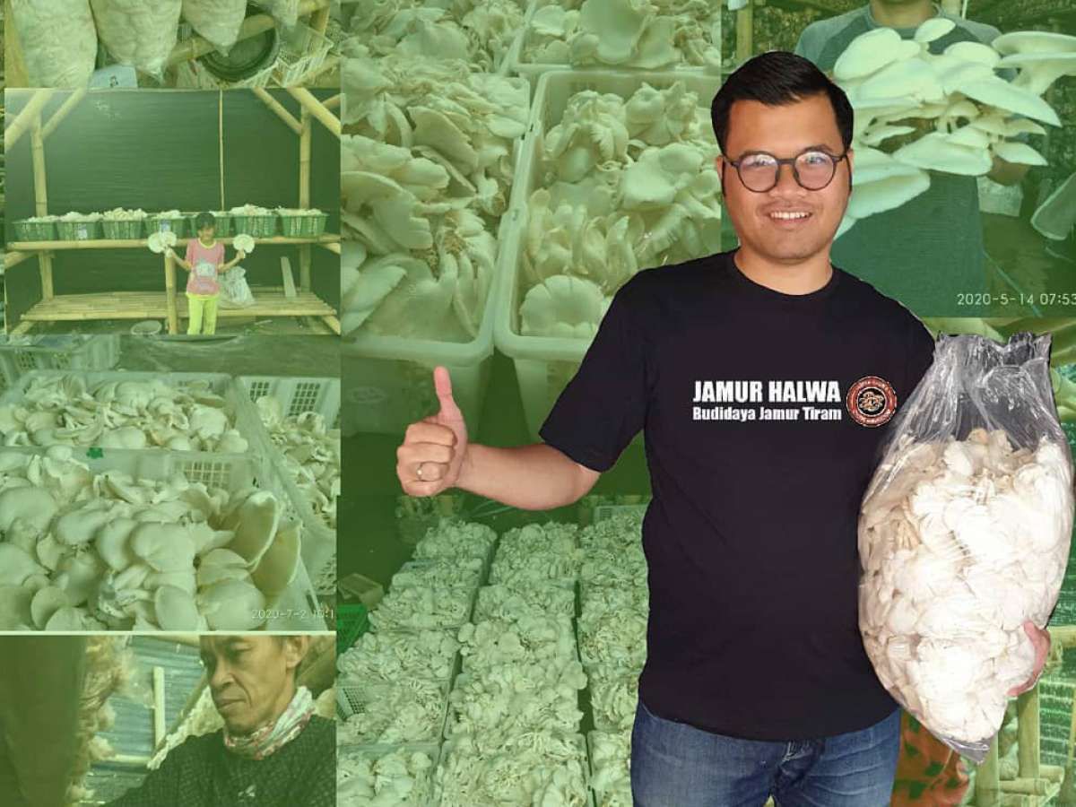 Perjalanan Bisnis Helmi Nurjamil, Hidup Makmur Berkat Bisnis Jamur
