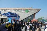 Socia Garden Karawang Sukses Gelar Festival Layang-Layang