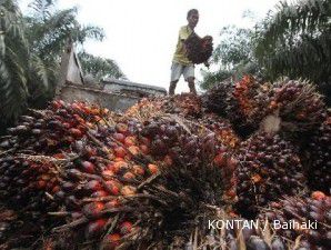 Proyeksi CPO tembus rekor baru, AALI sentuh level tertinggi tujuh pekan