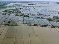 Kementan Usulkan Tambahan Anggaran Rp 5,1 Triliun Untuk Pemulihan Lahan Pasca Bencana