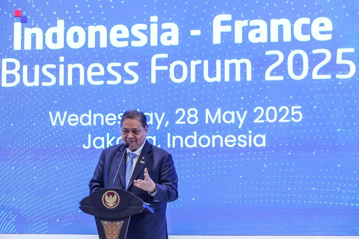 Di Hadapan Pemerintah dan Pengusaha Prancis, Airlangga Desak Penyelesaian IEU-CEPA