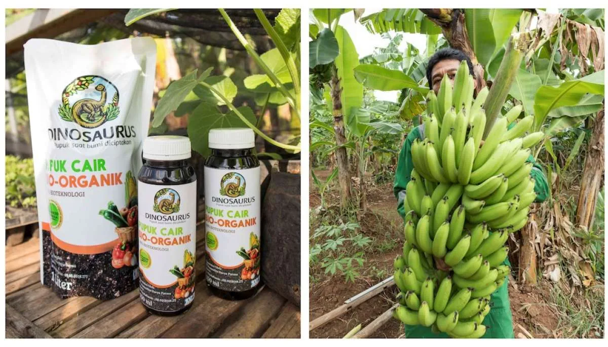 Tokopedia Ungkap Kisah UMKM Tanah Air Tingkatkan Kesejahteraan Petani 