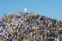 Perkuat Ekosistem Haji, Kemenhaj Dorong Ekspor Beras Ke Arab Saudi