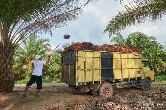 Indonesia's October Palm Oil Stocks Fall 10% m/m On Higher Domestic Demand