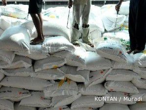 Pemerintah genjot produksi beras dengan manfaatkan rawa sebagai lahan tanam 