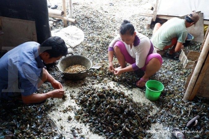 Waspada, kerang hijau dari Teluk Jakarta beracun dan tidak layak dikonsumsi