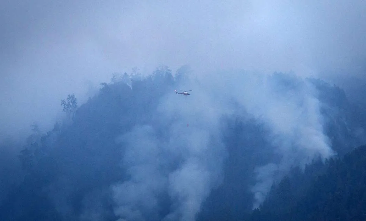 Pemerintah Klaim Mampu Tekan Kebakaran Hutan dan Lahan di Tahun Lalu