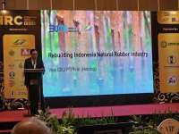 PTPN Group Siapkan Strategi Revitalisasi, Kembalikan Kejayaan Industri Karet Nasional