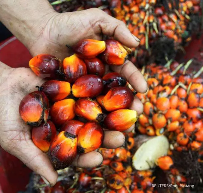 Indonesia's B40 biodiesel plan faces new delay due to palm price
