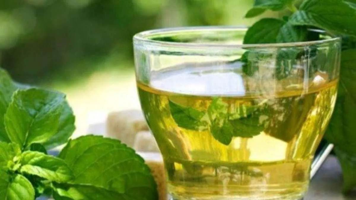 Memiliki wangi yang menenangkan, teh daun mint bisa membantu menurunkan berat badan