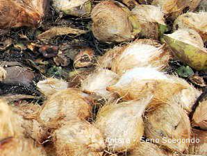 China Jadi Pasar Potensial Kelapa Indonesia
