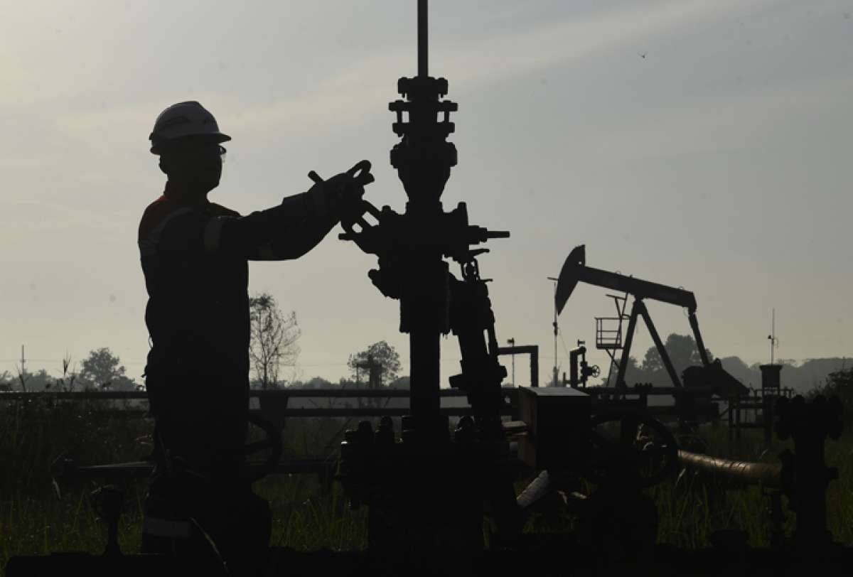 Risikonya Besar, Prospek Bisnis CCS Masih Samar