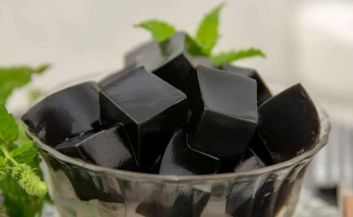 Bisa menurunkan berat badan, ini sederet manfaat cincau hitam untuk kesehatan