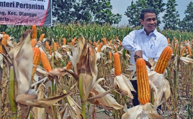 Mentan targetkan swasembada jagung tahun 2018