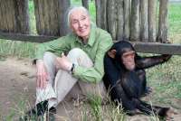 Profil Jane Goodall, Sang Primatolog yang Tutup Usia pada 91 Tahun