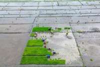 Kementan Alokasikan Rp336 Miliar guna Rehabilitasi Sawah Terdampak Banjir di Sumatera