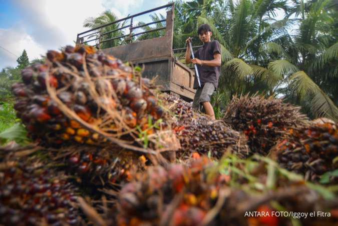 Uni Eropa Tunda Undang-Undang Anti Deforestasi Selama 12 Bulan