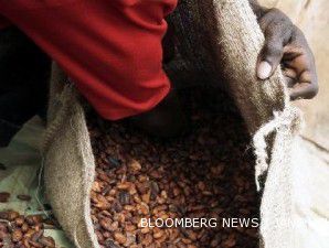 Menjadi anggota ICCO, Indonesia bisa lobi bea masuk kakao olahan jadi 0%