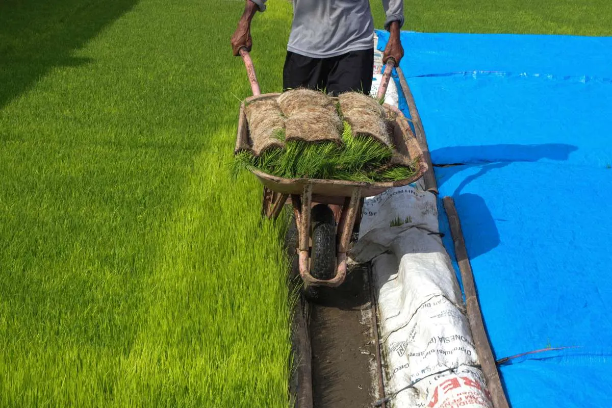 Mengenal Dusun Babadan di Magetan, Teladan dalam Ketahanan Pangan 