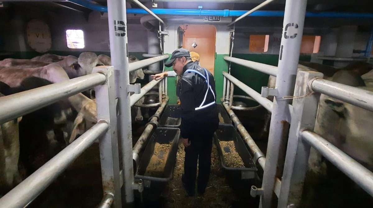 Berbagai Ikhtiar Estika Tata Tiara (BEEF) Masuk ke Anggota Indeks LQ45