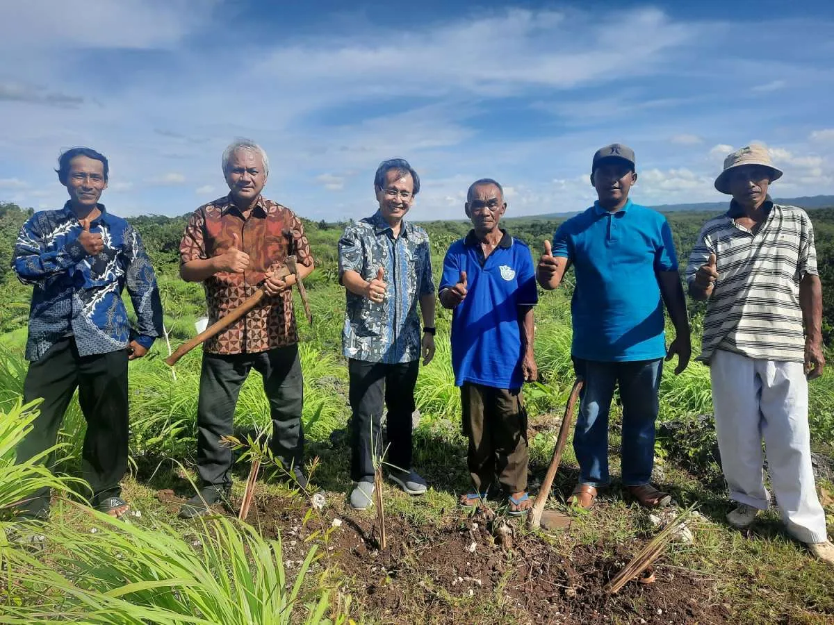 Wangi Aroma Cuan Petani Sereh Dlingo