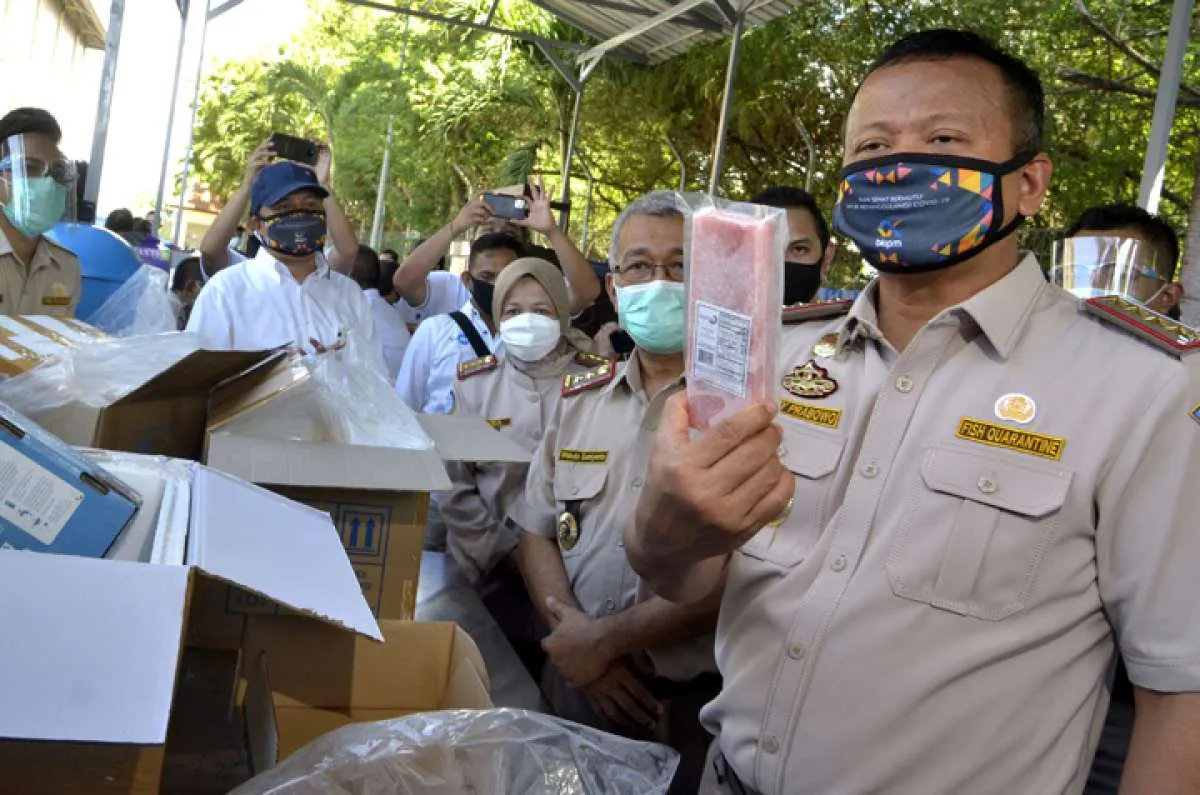 Edhy Prabowo sebut ada investasi Rp 300 triliun tak jalan di industri perikanan
