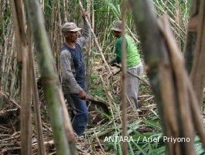 Lahan tebu 500.000 hektare dibuka tahun depan