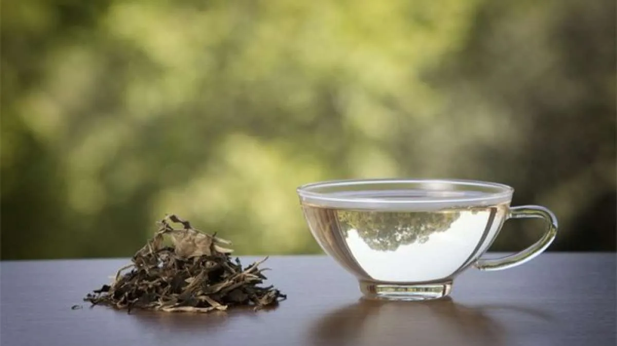 Sumber Antioksidan, Ini Manfaat Teh Putih untuk Kesehatan