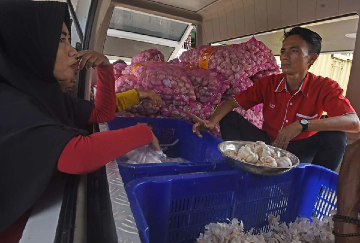 PPBN meminta pemerintah benahi tata niaga bawang putih