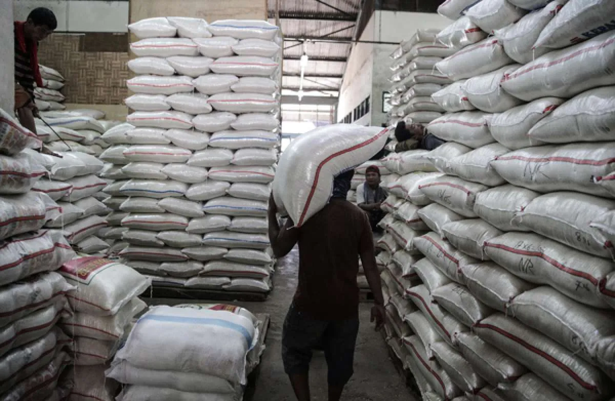Kementan: Stok beras akhir bulan Juni mencapai 7,49 juta ton