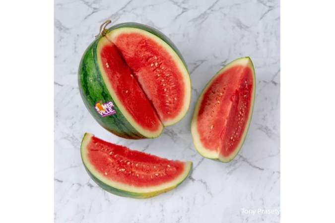 Kontan - Tony Prasetyo Seremonia Online