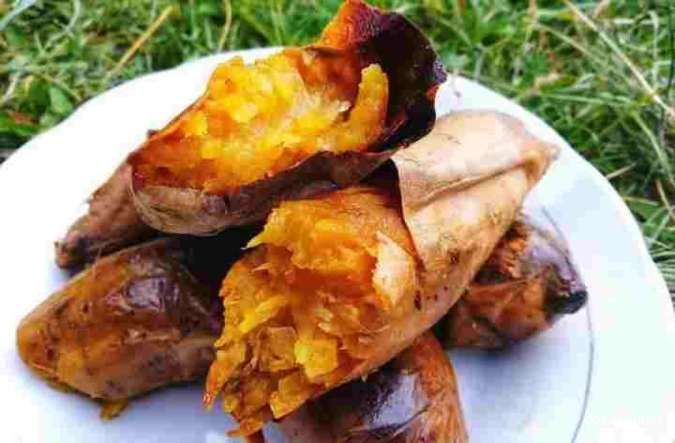 Apakah Ubi Cilembu Bagus untuk Dikonsumsi saat Diet?