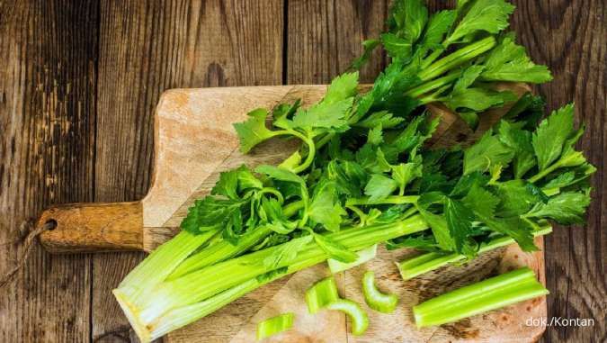7 Manfaat Makan Seledri secara Rutin bagi Kesehatan Tubuh