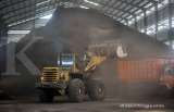 Harga Patokan Tertinggi Biomassa untuk Co-Firing Dinilai Belum Menarik