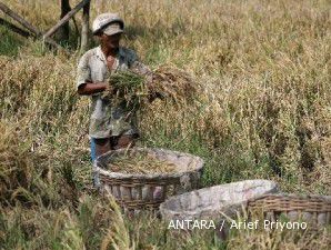 Mentan sudah mengusulkan kenaikan HPP beras