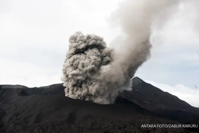 Bromo eruption disrupts local flights