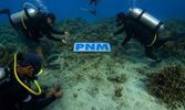 Upaya PNM Hadirkan Masa Depan Anak-Anak Lewat Pelestarian Laut