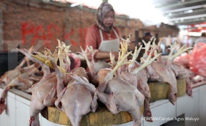 Brazil gugat Indonesia soal kebijakan impor ayam