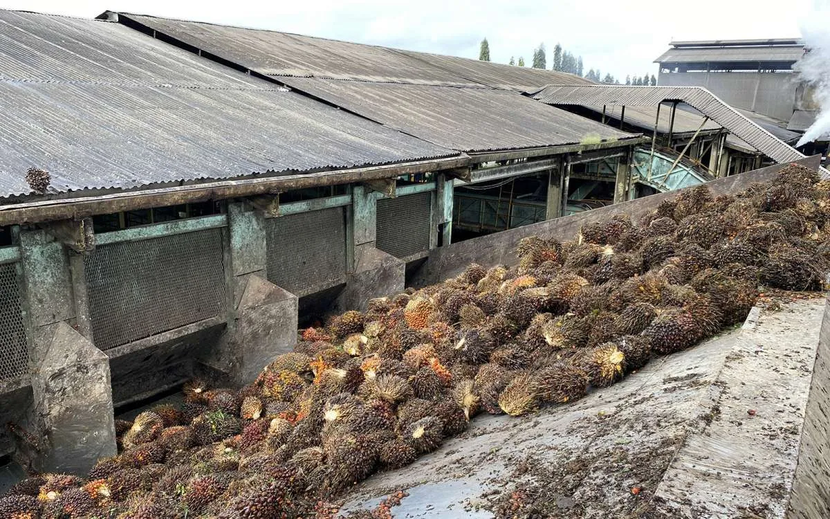 Astra Agro Lestari (AALI) Hadapi Perkara Hukum Terkait Tumpang Tindih Lahan