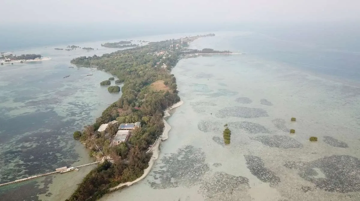 Laporan PBB: Indonesia Terancam Panas Ekstrem, Ekonomi Terdampak