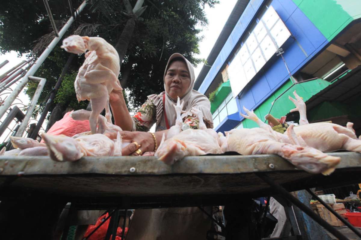 Harga Daging Ayam Melonjak, Pasca Produksinya Dipangkas Saat Pandemi Covid-19
