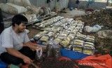 Menyulap Sampah Organik di Rest Area Menjadi Kompos