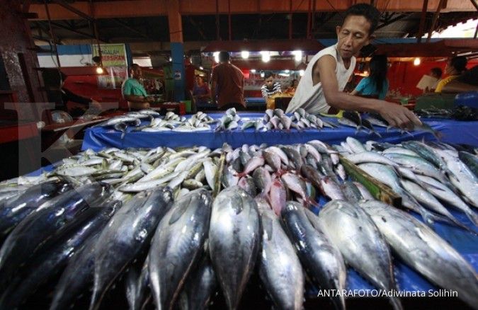 Langkah Menteri Susi percepat laju industri ikan
