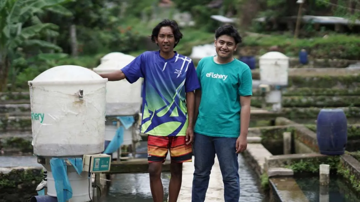 Dorong ketahanan pangan, eFishery gandeng pembudidaya ikan di daerah