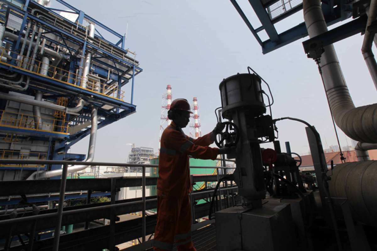 PLTU Milik PLN dan Swasta Serap 48,47% Batubara