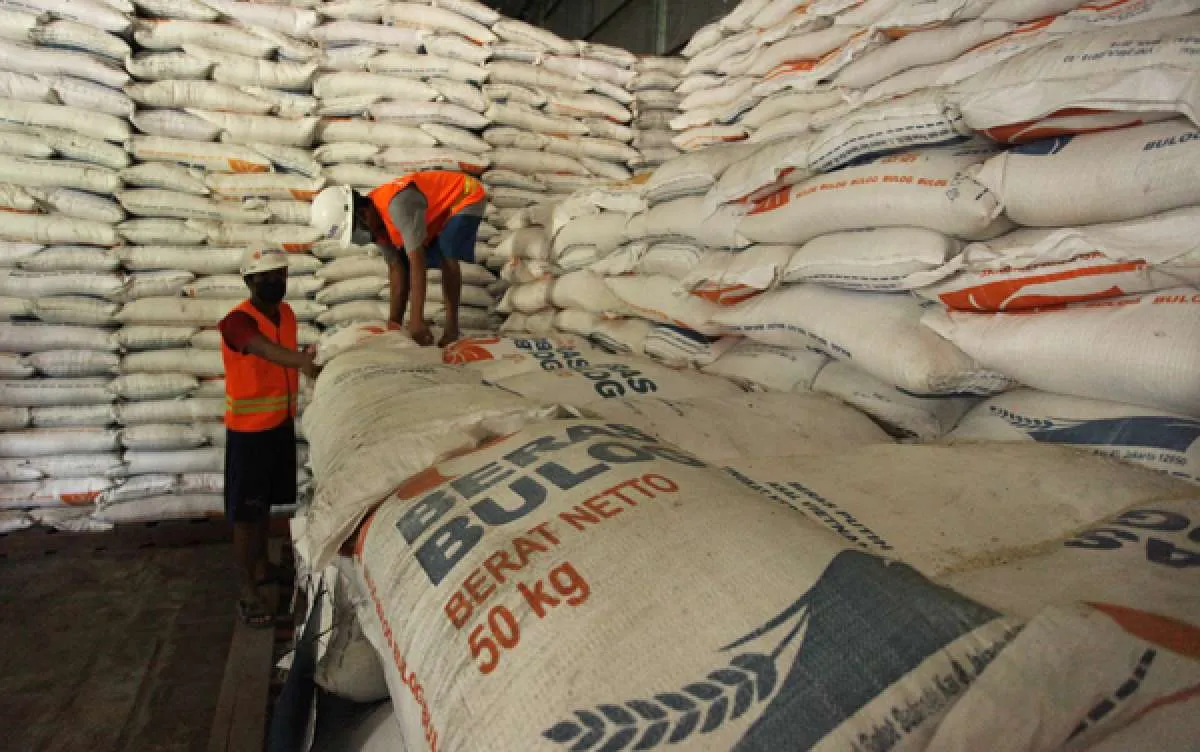 Pemerintah sudah memiliki alternatif Badan Pangan Nasional