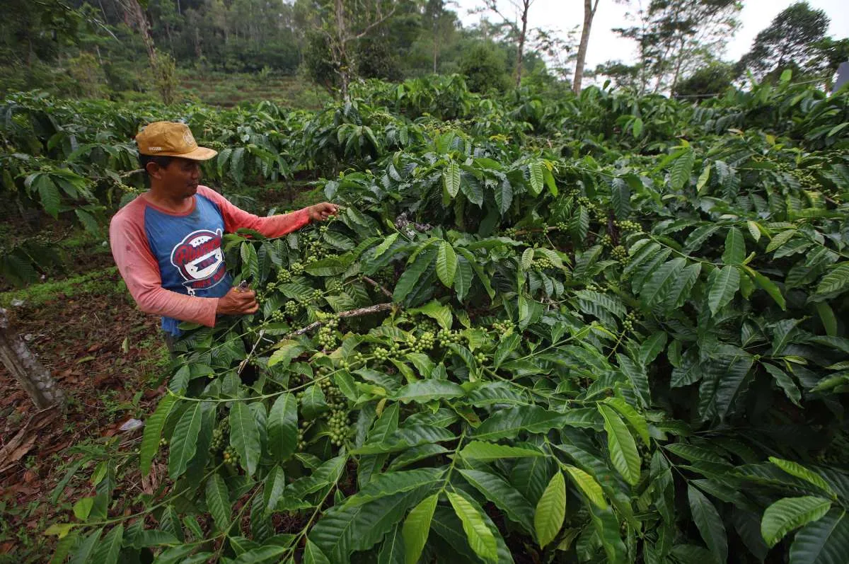 Cuaca Wilayah Jawa Barat: Hujan di Hari Sabtu (28/2)? Waspada 4 Daerah Ini!