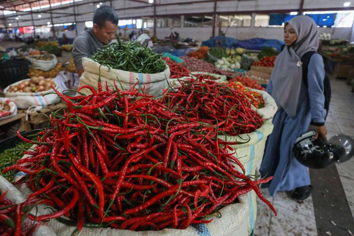 Kementan Beberkan Alasan Harga Cabai Naik 